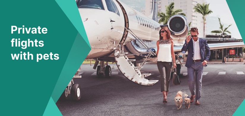 Private Jet flight with a dog or a cat